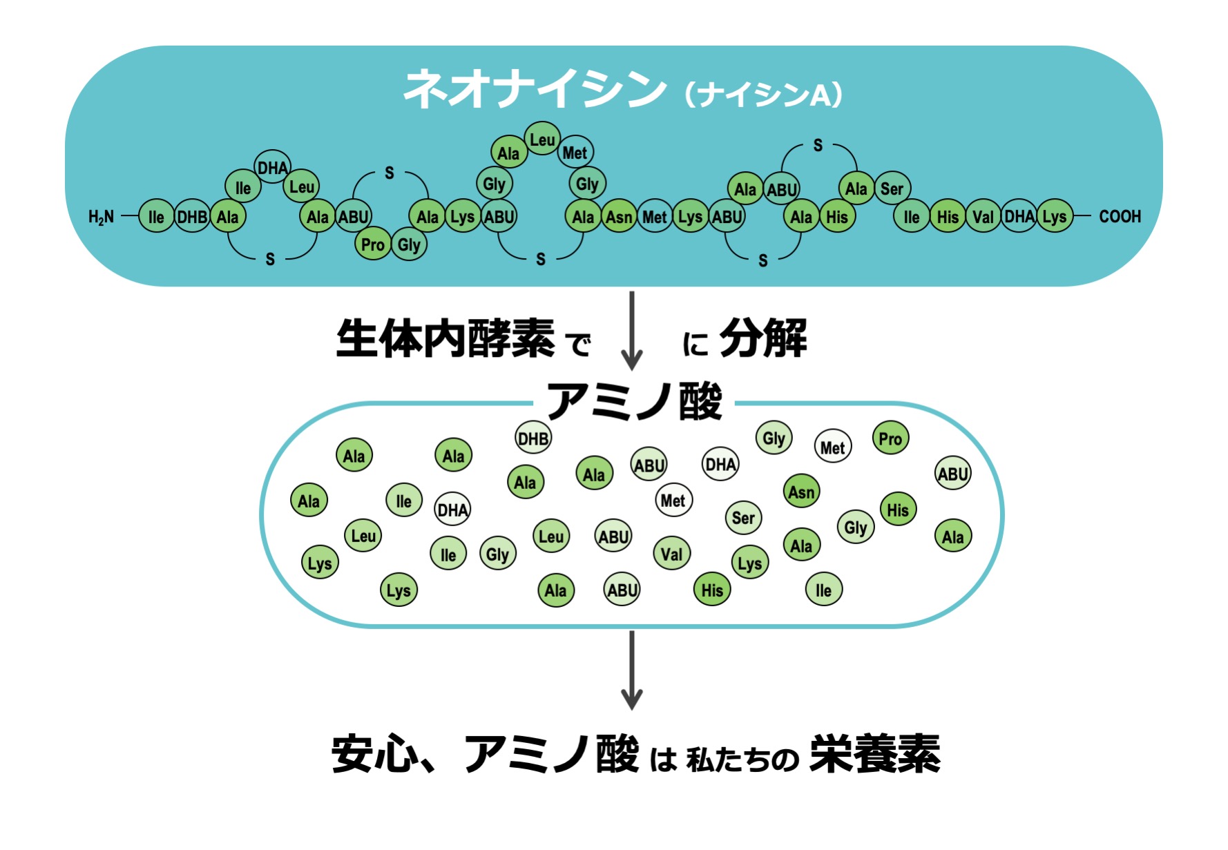 ネオナイシンとは